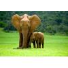 fotolia_12893718_xs.jpg