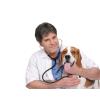 fotolia_14589767_l.jpg