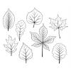 fotolia_35699824_xs.jpg