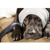fotolia_504650.jpg