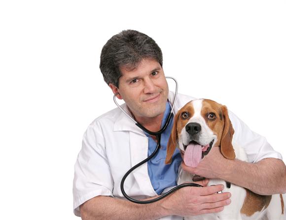fotolia_14589767_l